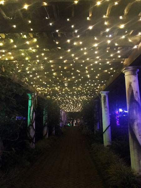 lights in an outdoor walkway